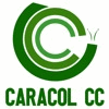 CARACOL CC, LDA