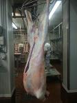 Carcass bárány