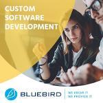 Costum Software Development