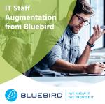 IT Staff Augmentation